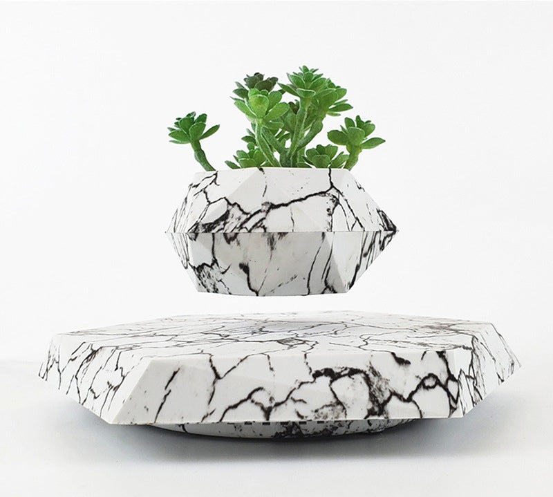 🌿 Ghiveci Levitant