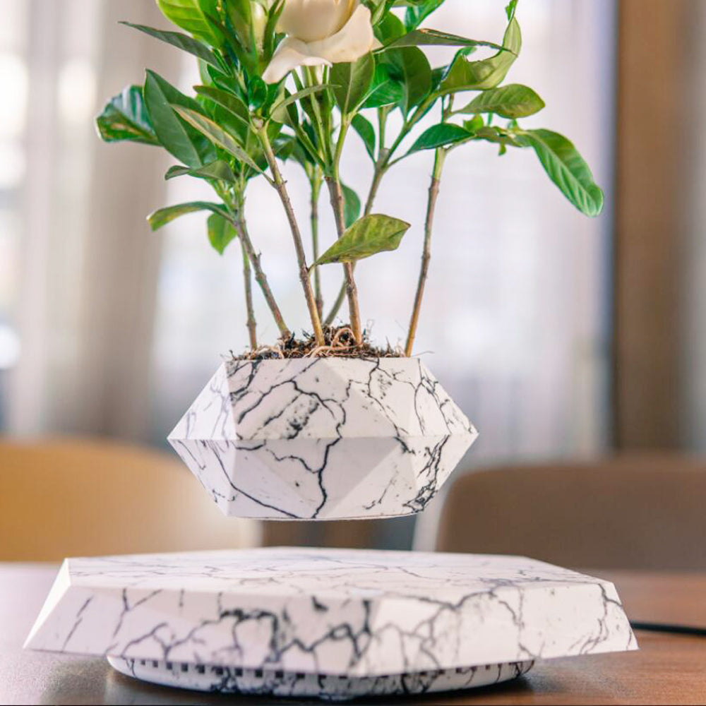 🌿 Ghiveci Magnetic Levitant pentru Plante și Bonsai