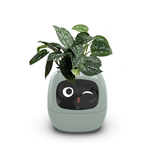 🌱 Ghiveci Inteligent Smart Planter
